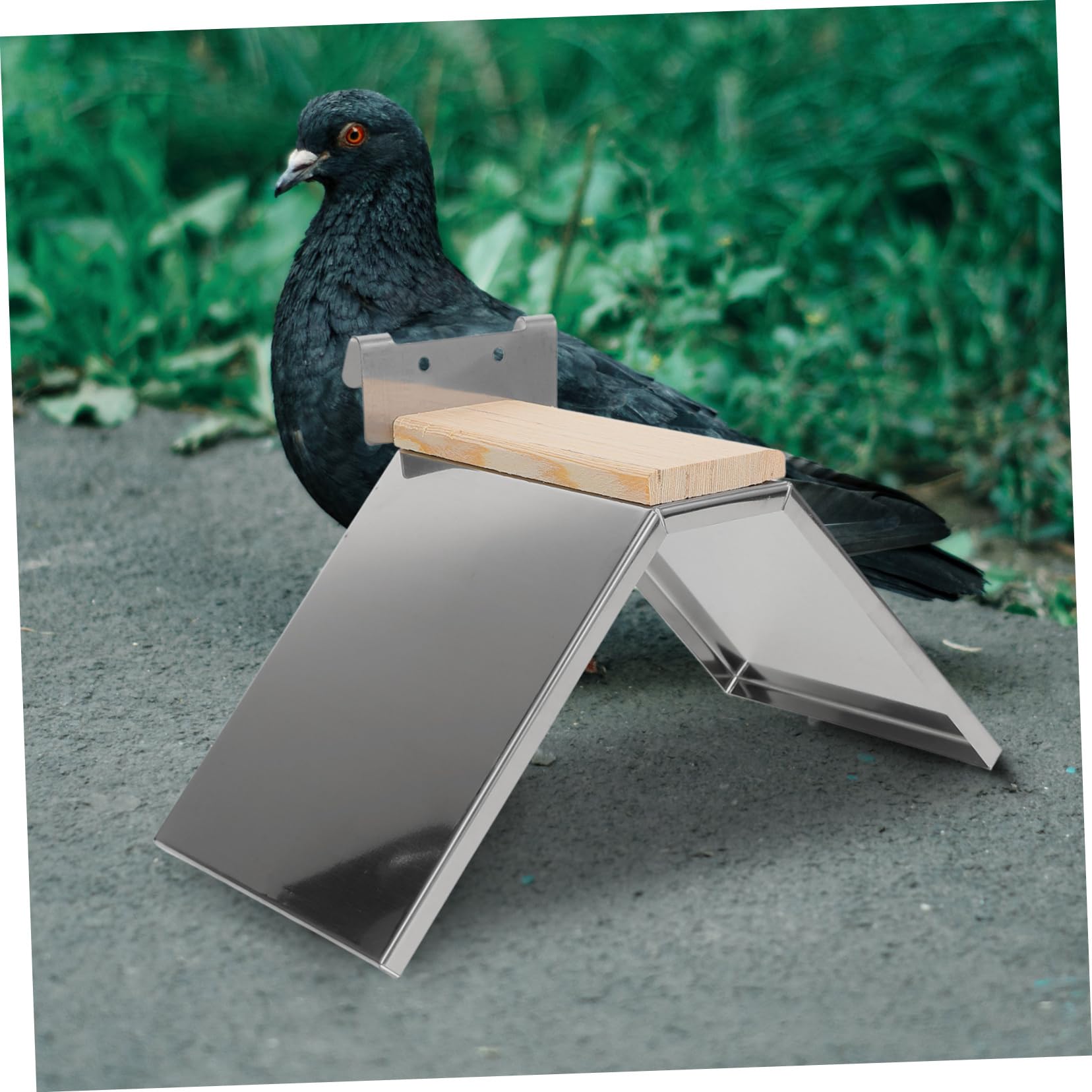 HANABASS 4piezas Percha para Aves De Inoxidable Soporte para y Aves De para Jaulas y De