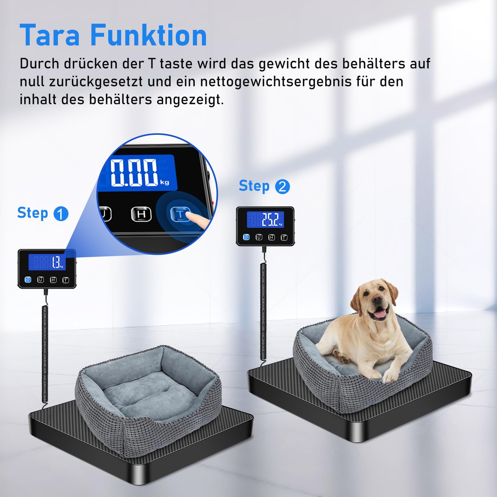 Bilancia Digitale 200 kg/10 g Alta Precisione con Hold/Tara, Visualizzazione LCD