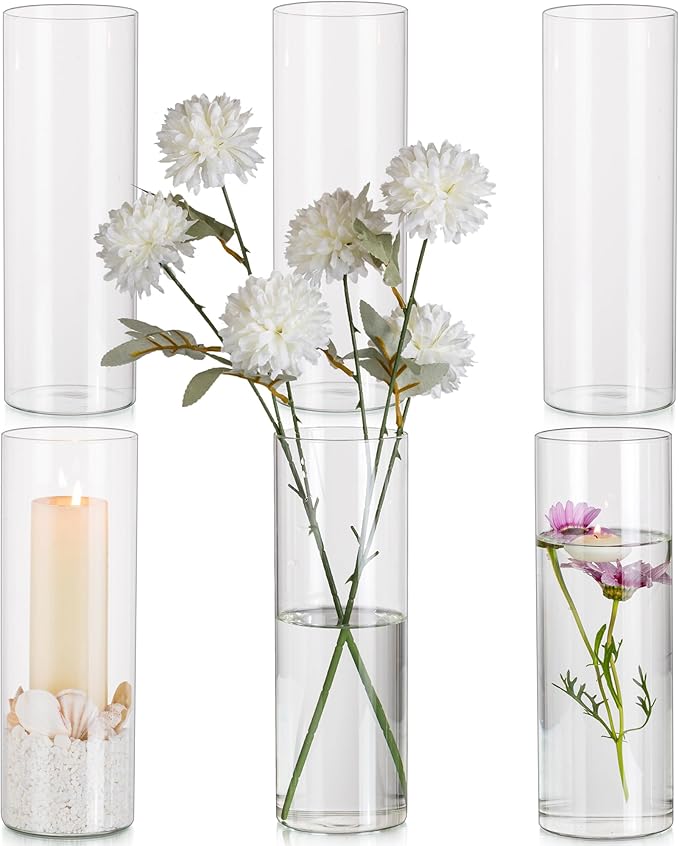 Amazon.de Glasseam Glasvase Blumen Vase, Zylindervasen Glas Vase Durchsichtig 6 Stück, 25 x 8,5
