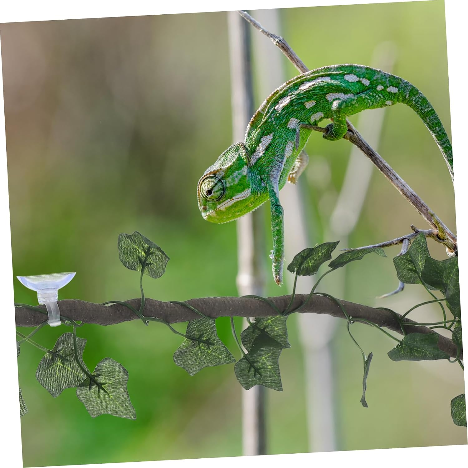Green Jungle Vines for Reptile Terrarium Decor, Flexible PVC Artificial image 4