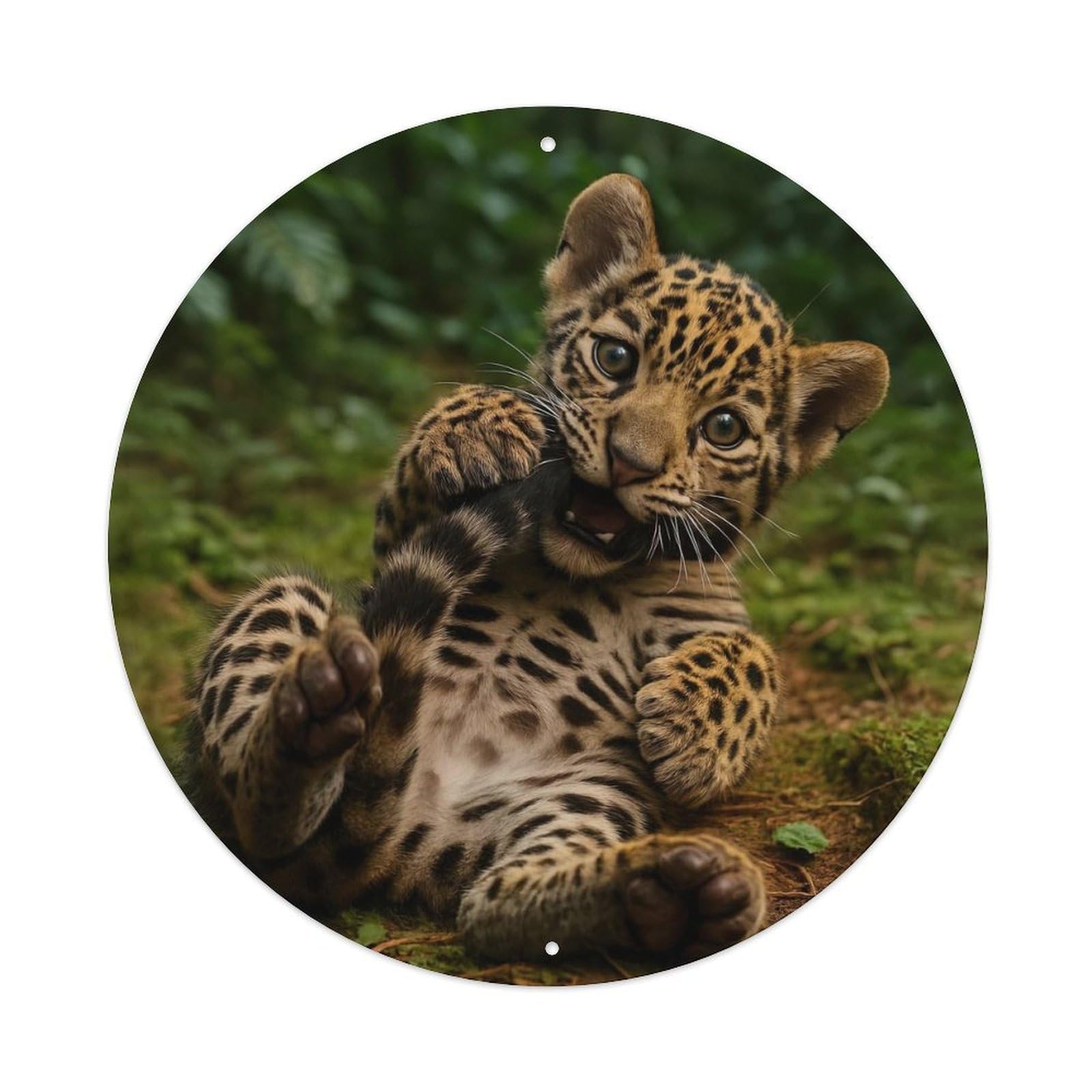 Cwbufd Vintage Style Animal Cheetah Cub Playing In Tropical Rainforest Sunlight Vintage Metal Tin Sign Plaque Wall Decor For Cafe, Club Bar, Office, Garden Metal Poster 8X8inch