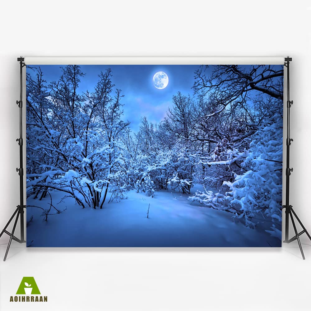 Aoihrraan 1,5x1m Noël Village Toile De Fond Neige Forêt Hiver Nuit Vue Conte De Fées Ville Photographie Fond Nouvel An Réveillon Noël Fête De Famille Décoration Enfants Adultes Portrait Photo Props