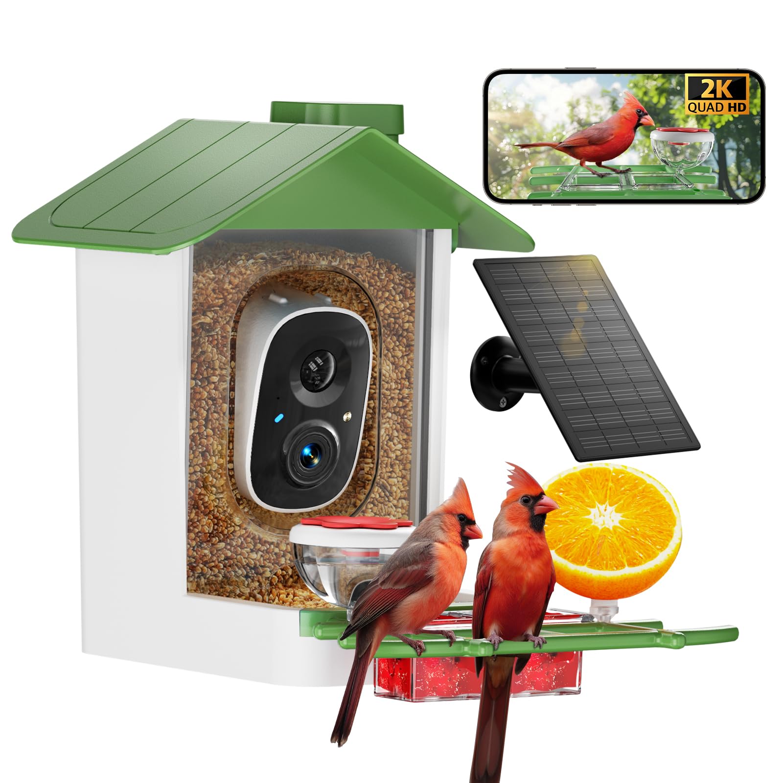 Bird Feeder FEELNEEDY Comedero Inteligente Para Pájaros Con Cámara, Cámara  De Observación De Aves HD 2K Con Energía Solar, Zoom 3X Y Vista De 173°,  Identificación AI, Alertas De Movimiento, Impermeable IP65, image size:1600x1600