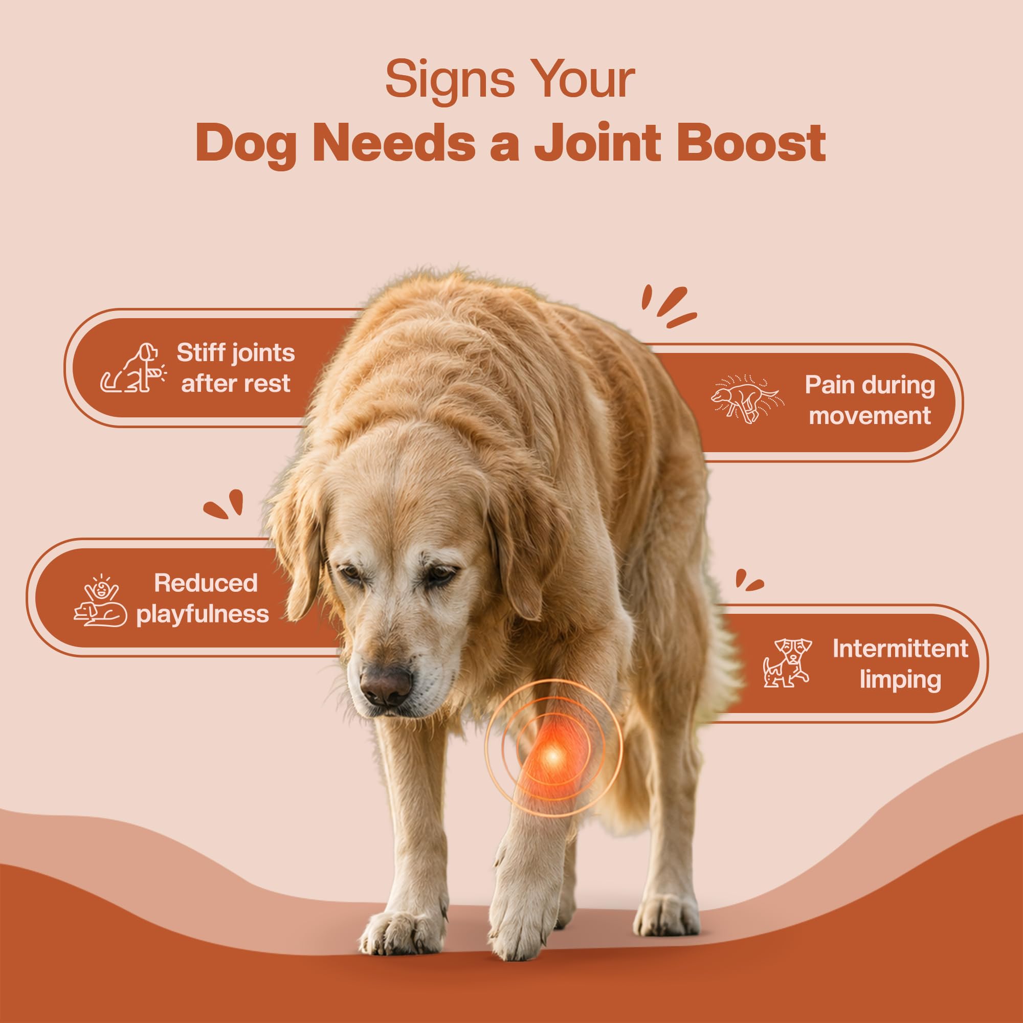 BLEP Super Joint Booster - Dog Hip & Joint Soft Chews Supplement, Mobility, Stiffness, Joint Pain & Weak Legs | Glucosamine, Chondroitin & Green-Lipped Mussel | Collagen, MSM & Curcumin | 60 g — Amazon image 2