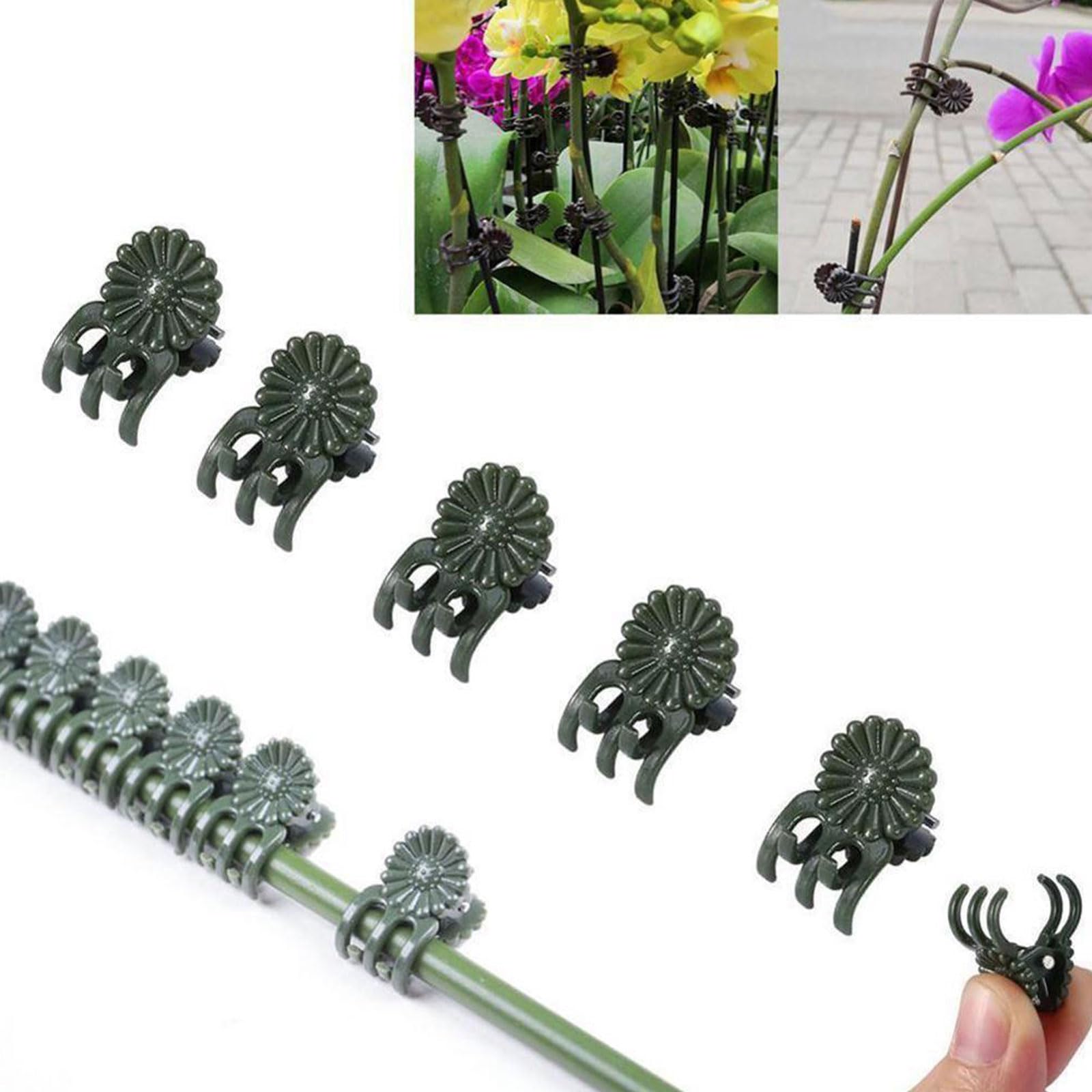 100 Pflanzenclips – Wiederverwendbar, Für Ranken Und Kletterpflanzen, 2 Größen, Grün