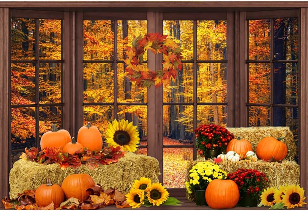 Amazon.com : Laeacco Fall Window Scenery Backdrop 10x8FT Autumn Forest ...