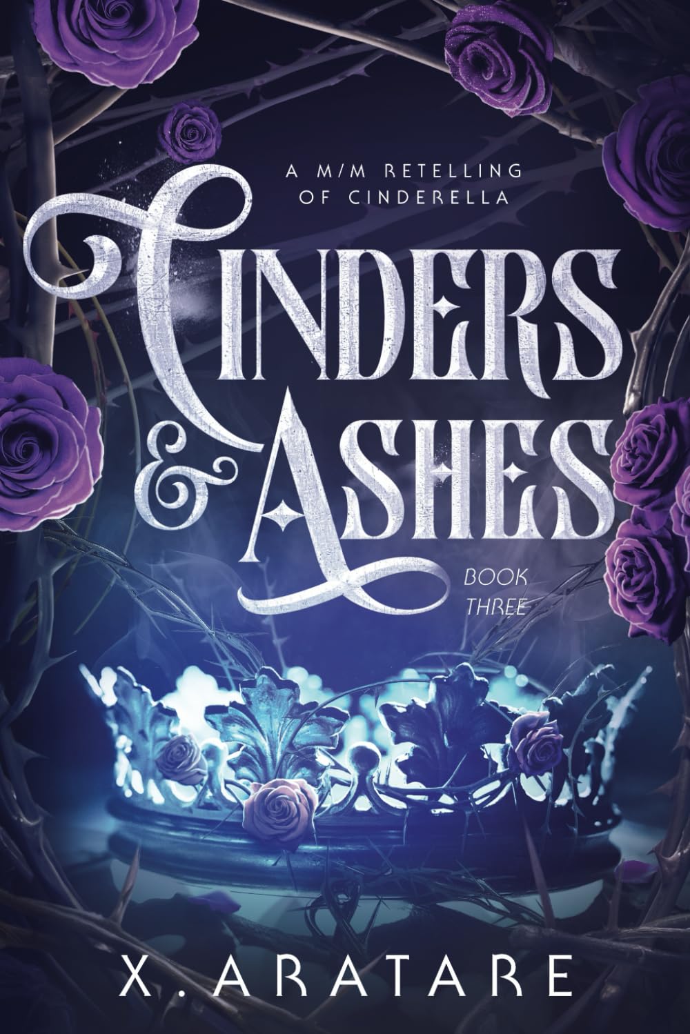 Cinders & Ashes Book 3: A Gay Retelling of Cinderella
