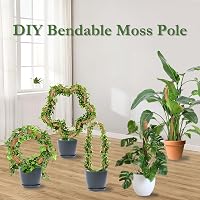 Ryhx Monstera Növénytámasz Szett - 120 cm Hajlítható Kókuszrost Karó Kúszónövényekhez, 2 db Természetes Mohaoszlop Szobanövényekhez 5