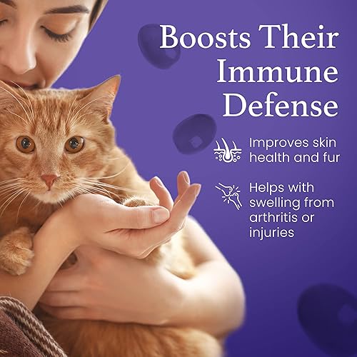 Miniatura 5 de C60 Evo Cat Lover Set, 2 botellas de ESS60 puro en aceite de oliva virgen extra, 1 para humanos y 1 para felinos, suplementos para gatos infundidos