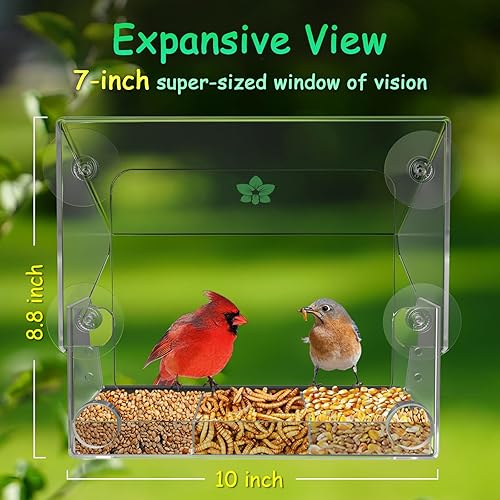 Miniatura 3 de ermete Comedero para pájaros de ventana con ventosas fuertes, alimentador de pájaros transparente de visión grande, comedero ajustable para ventana