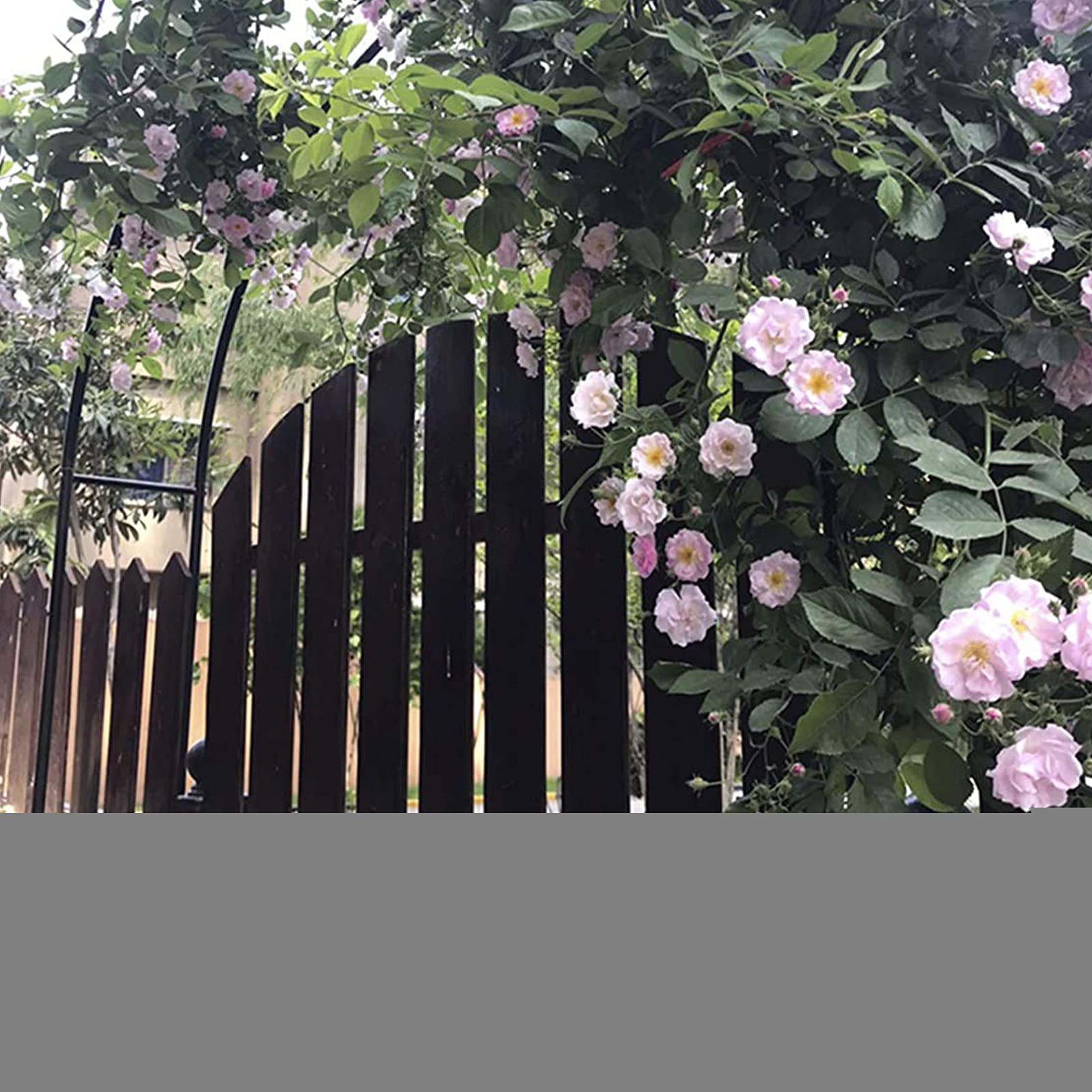 Metalowy łuk ogrodowy, dekoracja ślubna, łuk różany, wolnostojąca pergola, kratka do roślin pnących, odporna na warunki atmosferyczne, rura 19 mm, do ogrodu, złoty 280 x 2