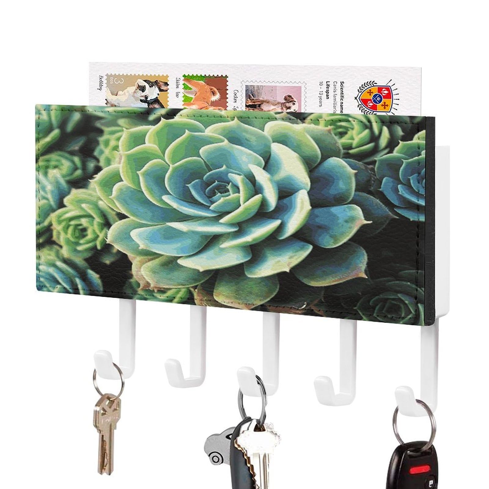 LDGSUPH Succulent Plants Key Holder Wall Mount Key Hanger with 5 Hooks Fashion Key Organizer Rack Hanging Key Hooks with Mail Organizer Key Rack for Home Entryway Hallway White-Style