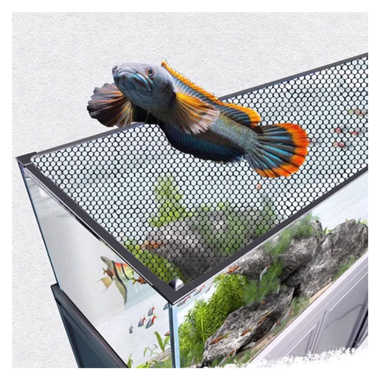 Copertura protettiva magnetica per terrario e ventilazione, rete anti-salto, per acquari, dimensioni personalizzate (L55,1 x W21,7)