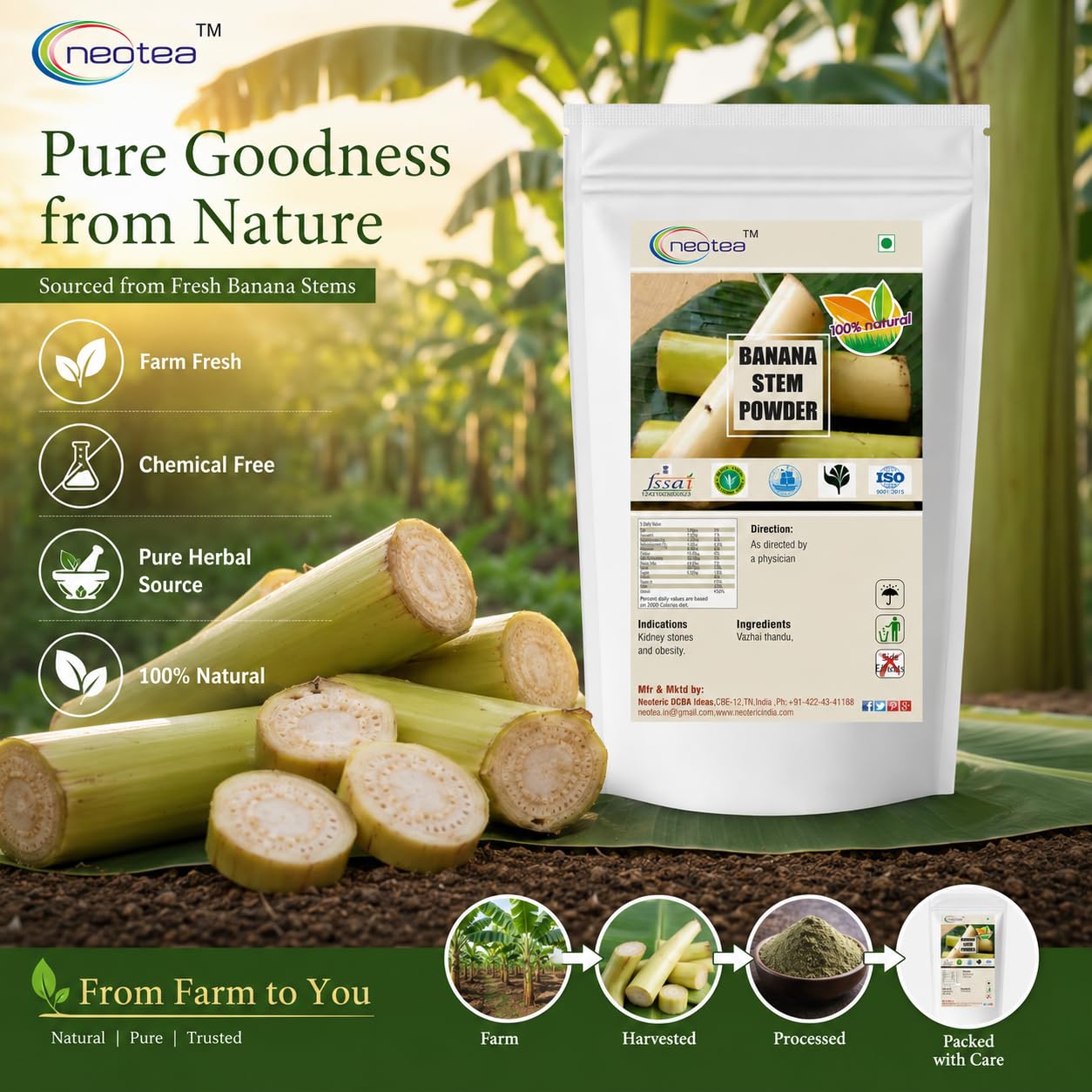 Neotea Banana Stem Powder | Rich in Fiber for Weight Loss & Digestive Health | Vazhai Thandu | Musa Acuminata | Kele Ka Tana Unnipindi | Natural Detox, High in Potassium & Vitamin B6 | Pure and Organic 50 GM Pack Of 10 — Amazon image 3
