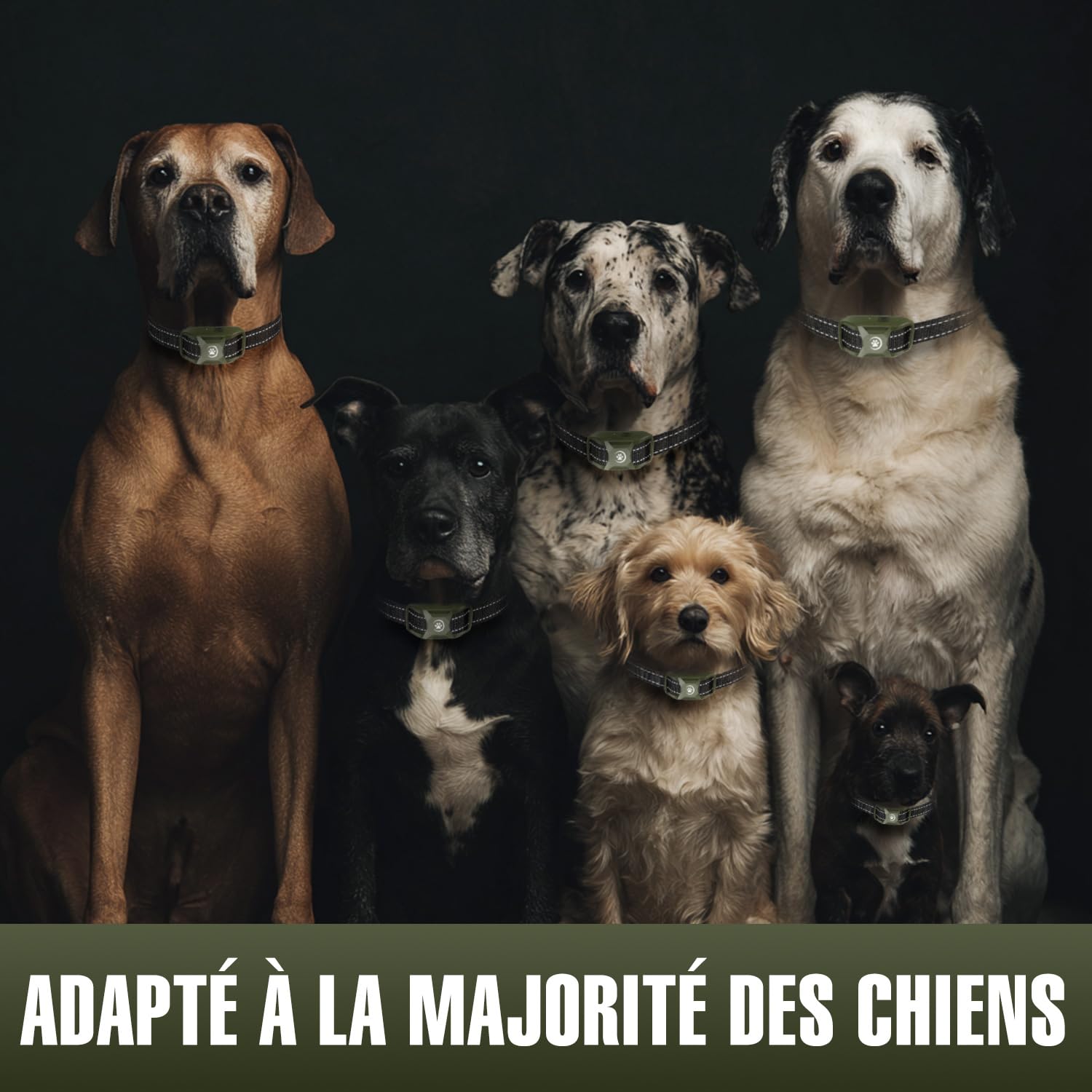 Collier de Dressage pour Chien 2 en 1 – Mode Ultrason Anti-Aboiement (Portée 5 m) & Télécommande 1000 m, Bip, Vibration & Choc Sécurisé, Étanche IP67 & Rechargeable, Vert