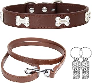 Collier et Laisse en Cuir Collier pour Chien Convient aux Petits Moyens Grands Chiens