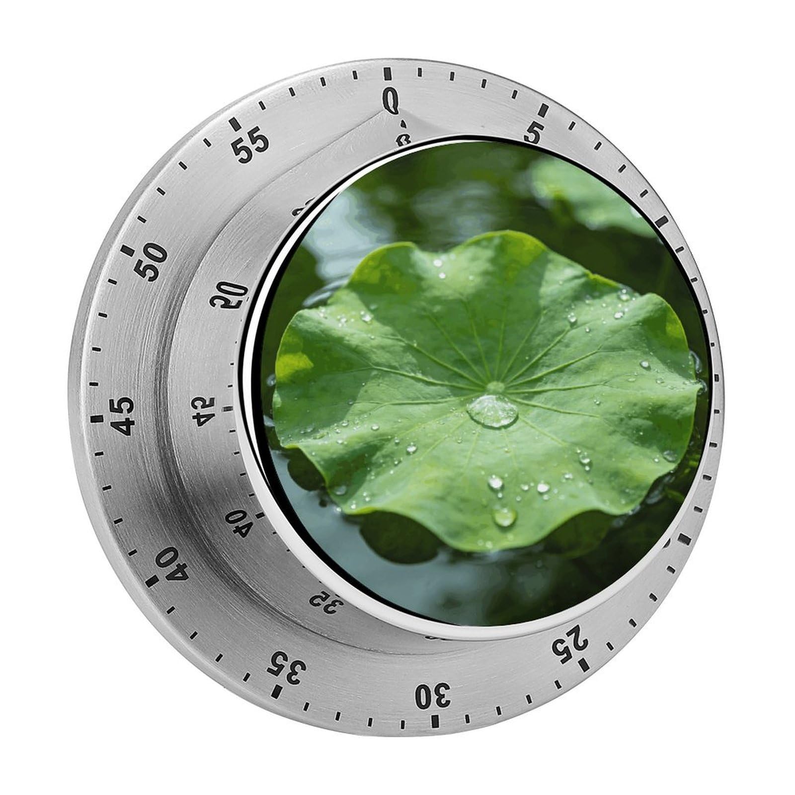 Green Lotus Leaf Timer Exquisite Stainless Steel Body Desk Visual Timer with Loud Alarm 60-Minute Mechanical Countdown Timers Magnetic Backing Cooking Kitchen Timers for Work