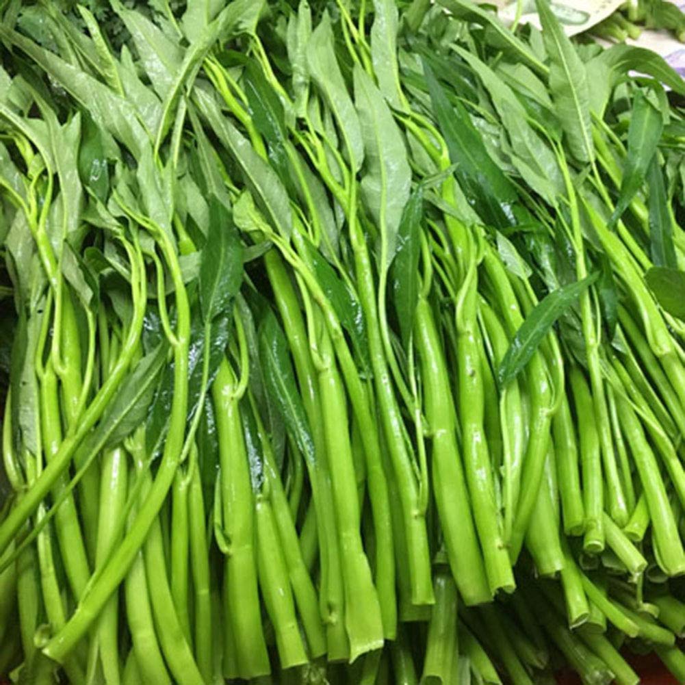 Kalmi saag seeds (400 seeds) (B0BWRJW21F) Amazon Price History, Amazon Price Tracker