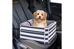 Best Dog Car Seats for Small Dogs: Ultimate Safety and Comfort