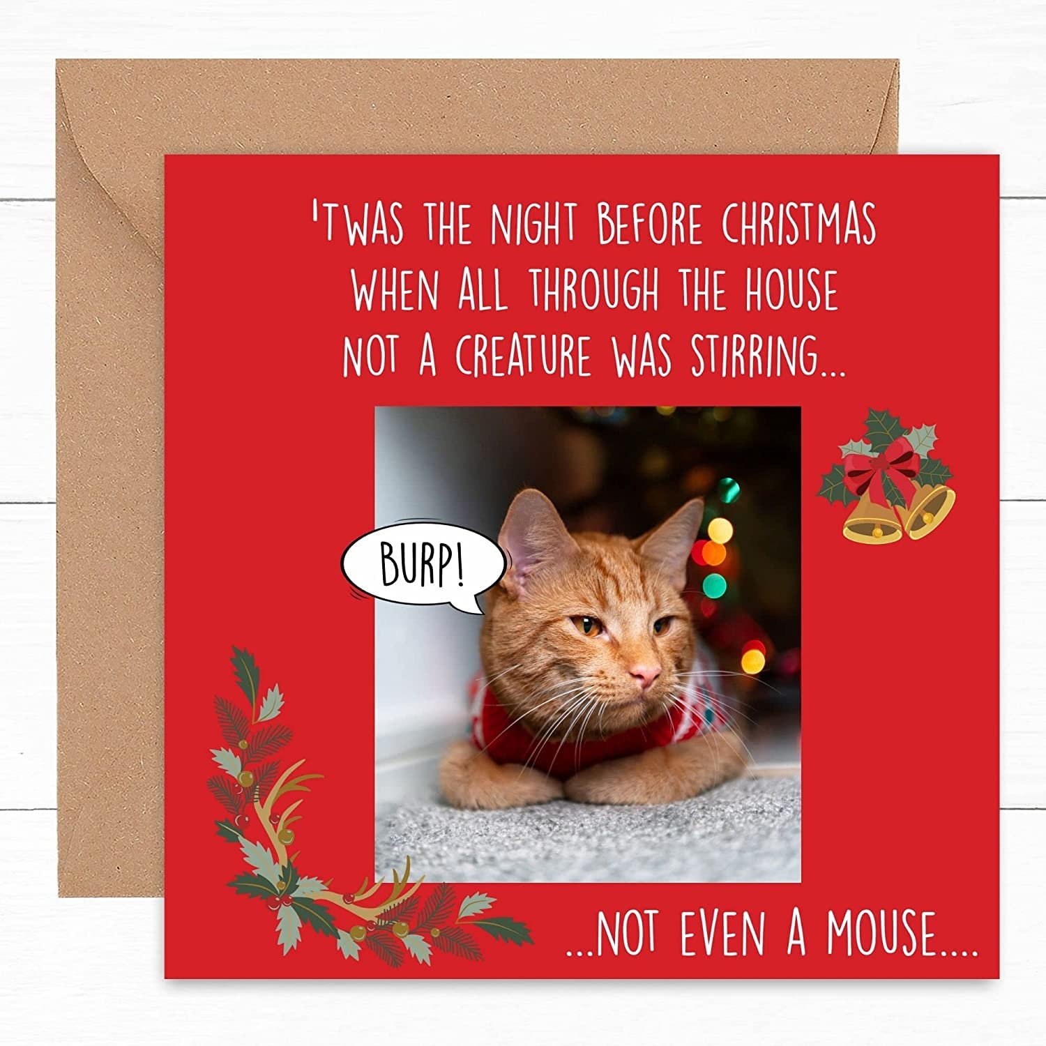 kerstkaart grappig kat met kerstlichtjes folio