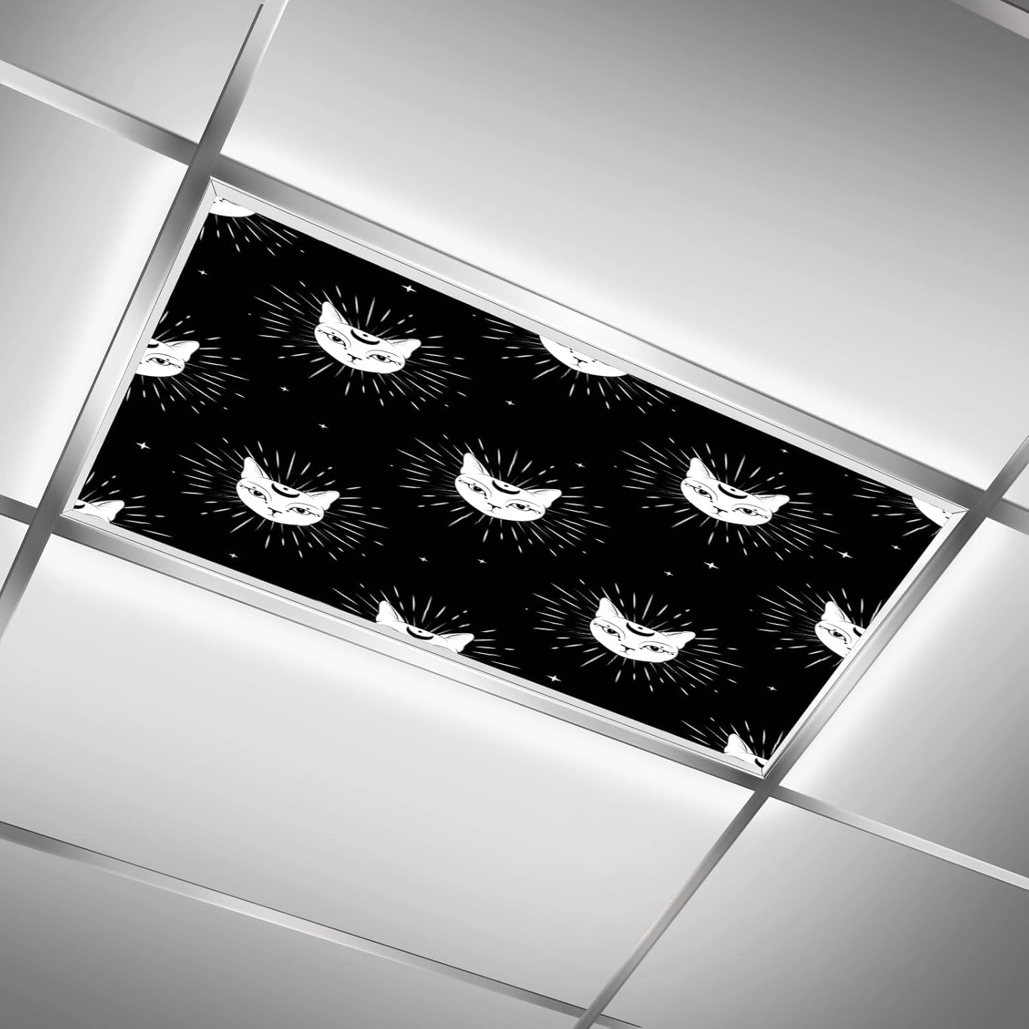 Fluorescent Light Covers for Classroom Kitchen Office