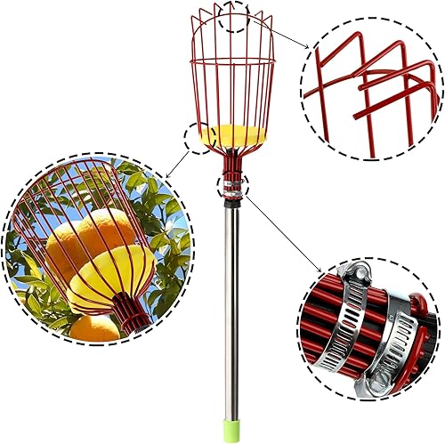 Miniatura 3 de Suwimut Herramienta recolectora de frutas, poste recogedor de frutas extensible de 8 pies con cesta grande giratoria, herramientas de jardinería de