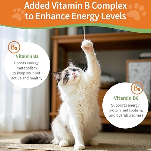 Miniatura 3 de Apoyo renal 6 en 1 para perros y gatos - Promueve la función renal saludable, niveles de energía y equilibrio de líquidos - Suplemento herbario