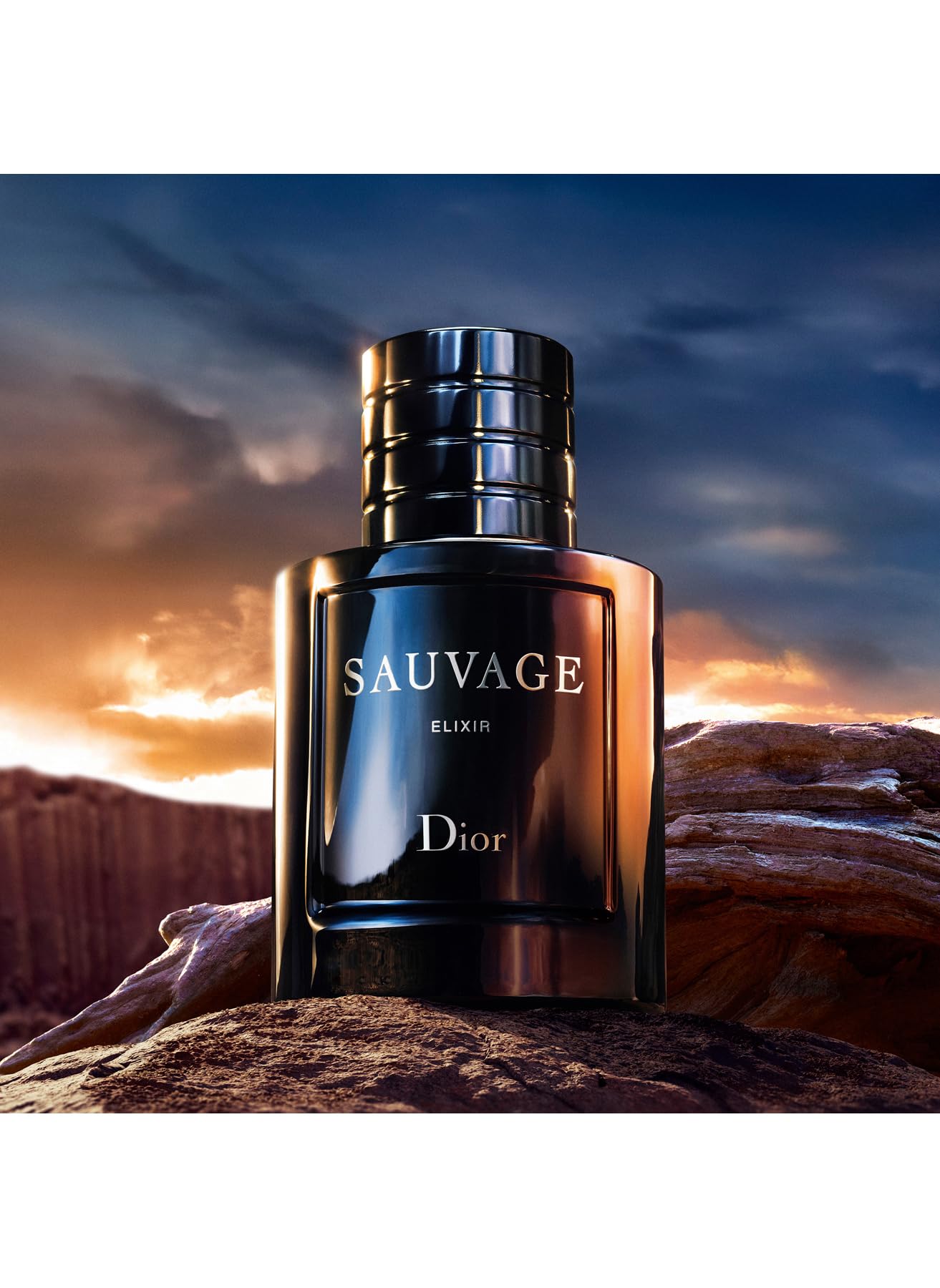Amazon.com : Christian Dior Sauvage Elixir For Men 3.4 Ounce
