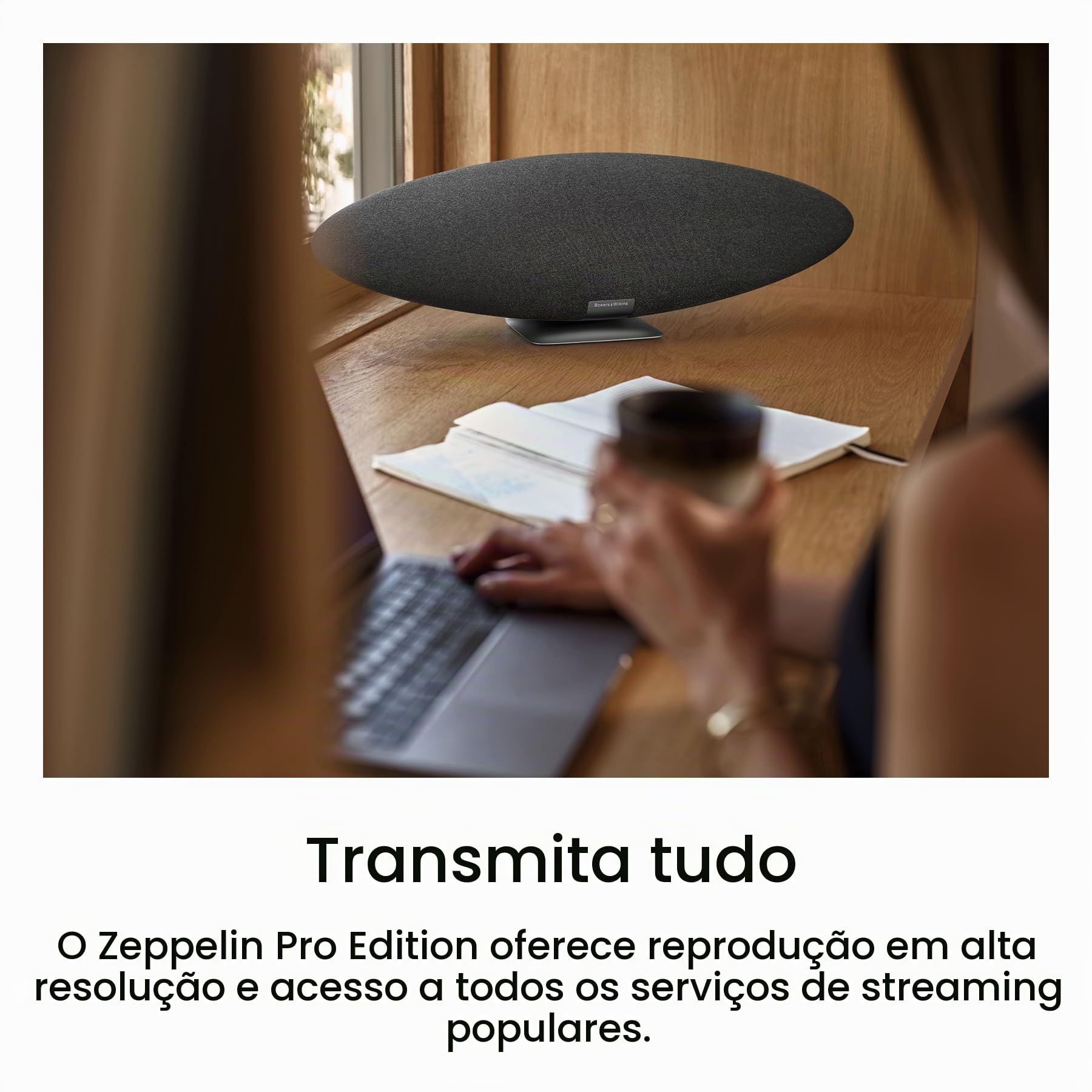 Bowers & Wilkins Zeppelin Pro Edition cinza espacial | Amazon.com.br