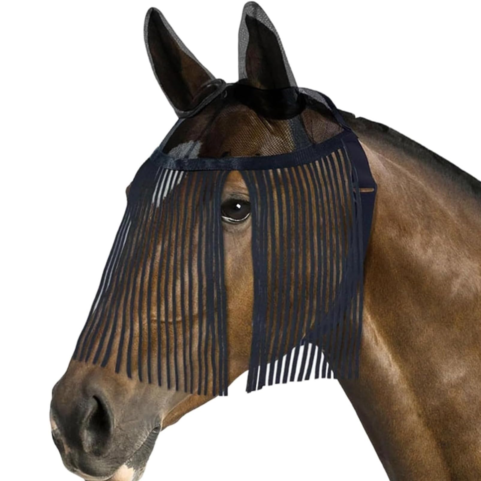 Masque Anti-mouches Pour Chevaux – Protection Faciale En Maille Respirante Avec Franges – Ajustable, Léger, Pour écurie Et Pâturage