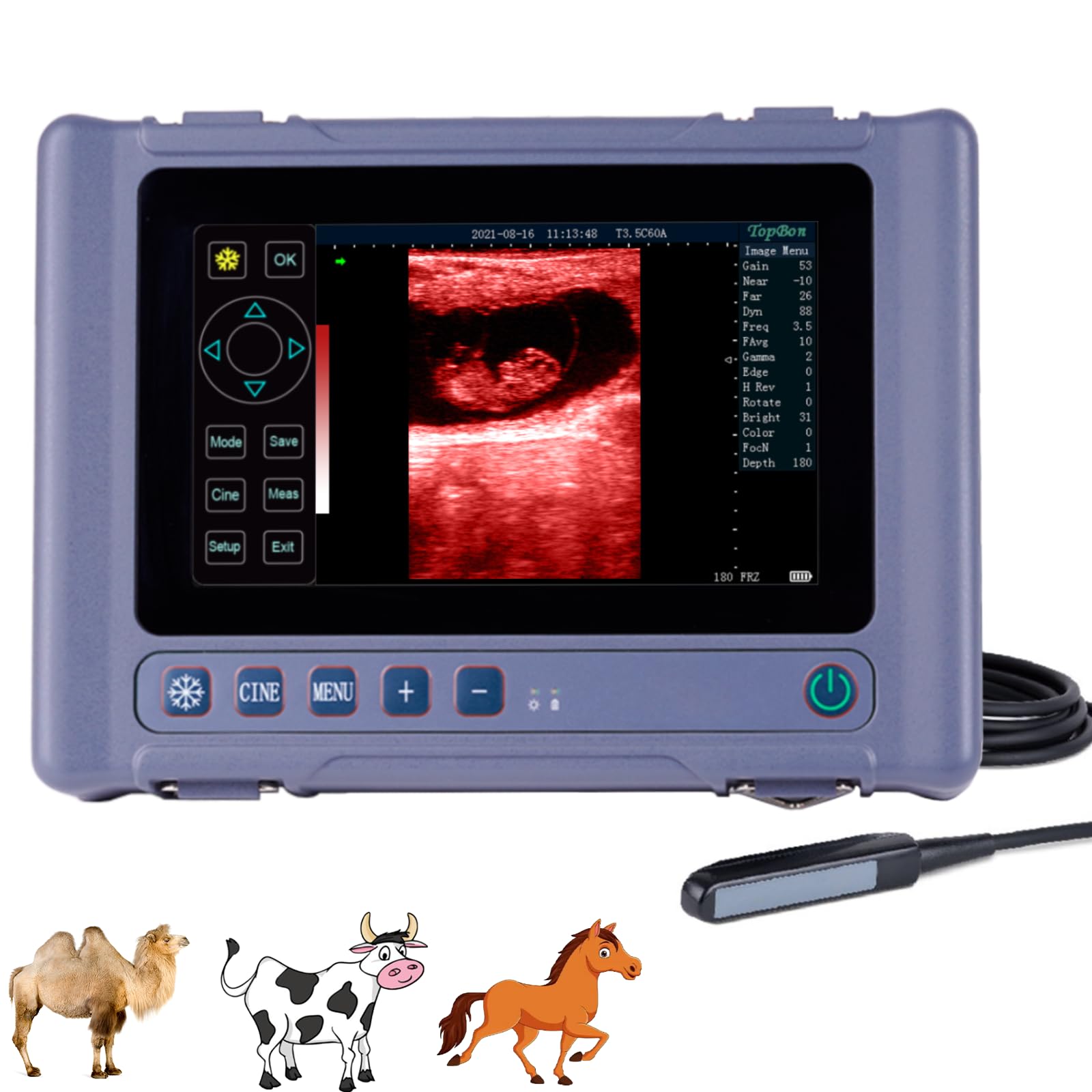 T1 Portable Pregnancy Test Ultrasound Machine with 6.5 MHz Rectal Probe | 8-Inch Touch Screen Waterproof devices suitable for veterinarians, farm etc