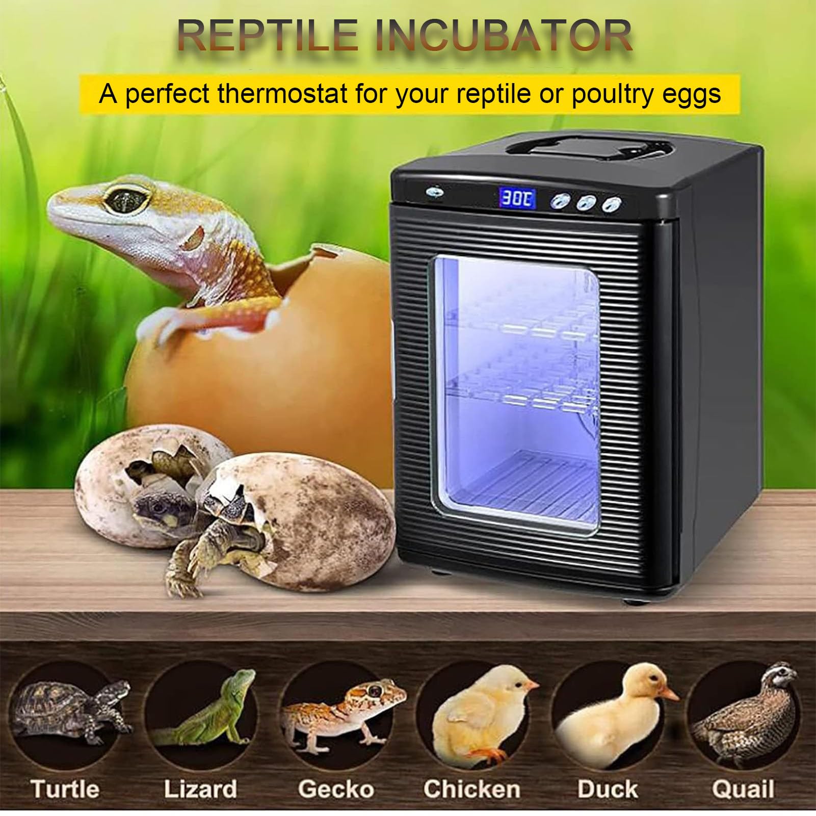Incubadora de Reptiles, incubadora de Laboratorio de Ciencias Multifuncional, observación LED, para Reptiles, Camaleones, lagartos y Tortugas