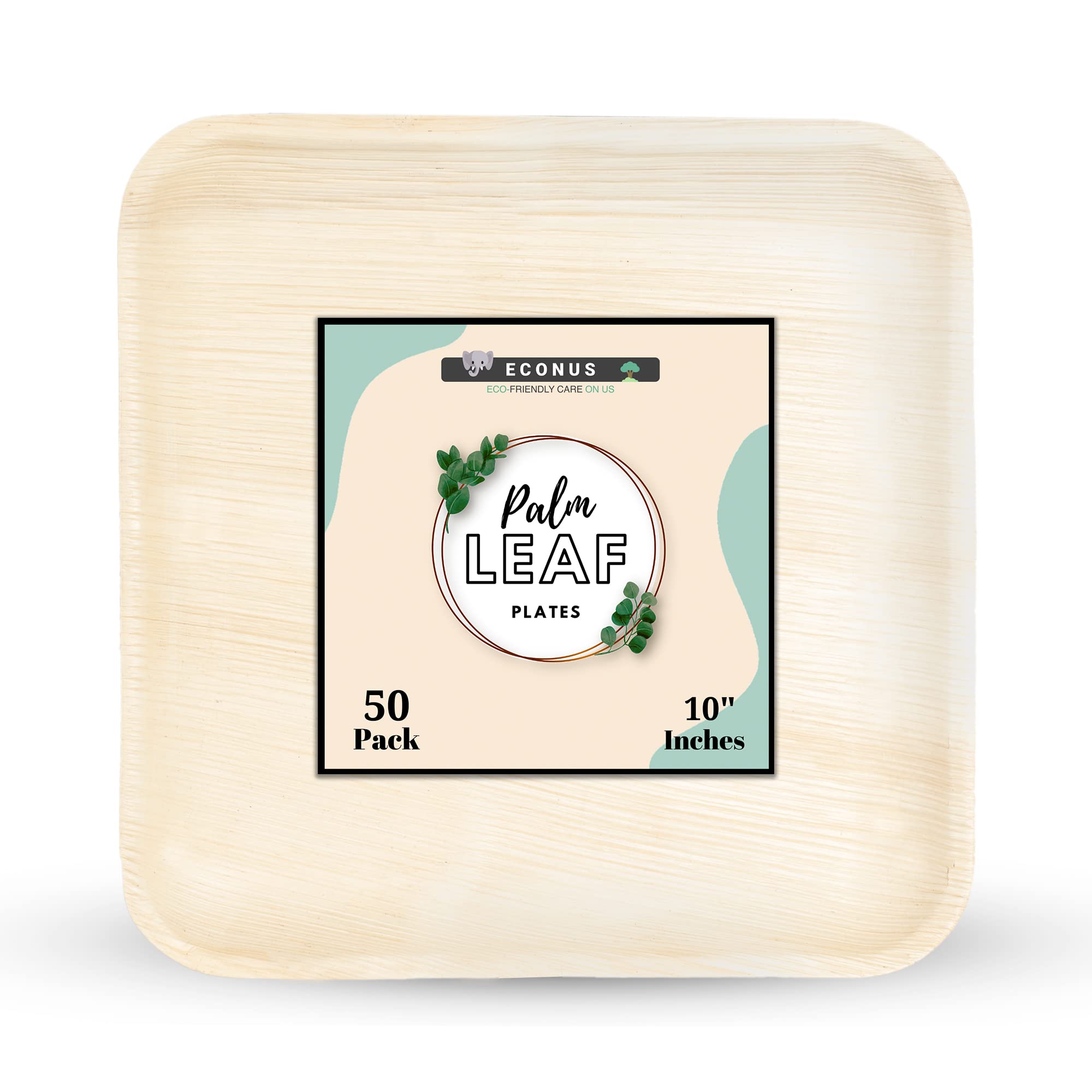 Export Quality Plates| Pack of 25| 10" Inch Disposable Square Areca Leaf Plate Eco-Friendly for Birthday Weddings and Parties