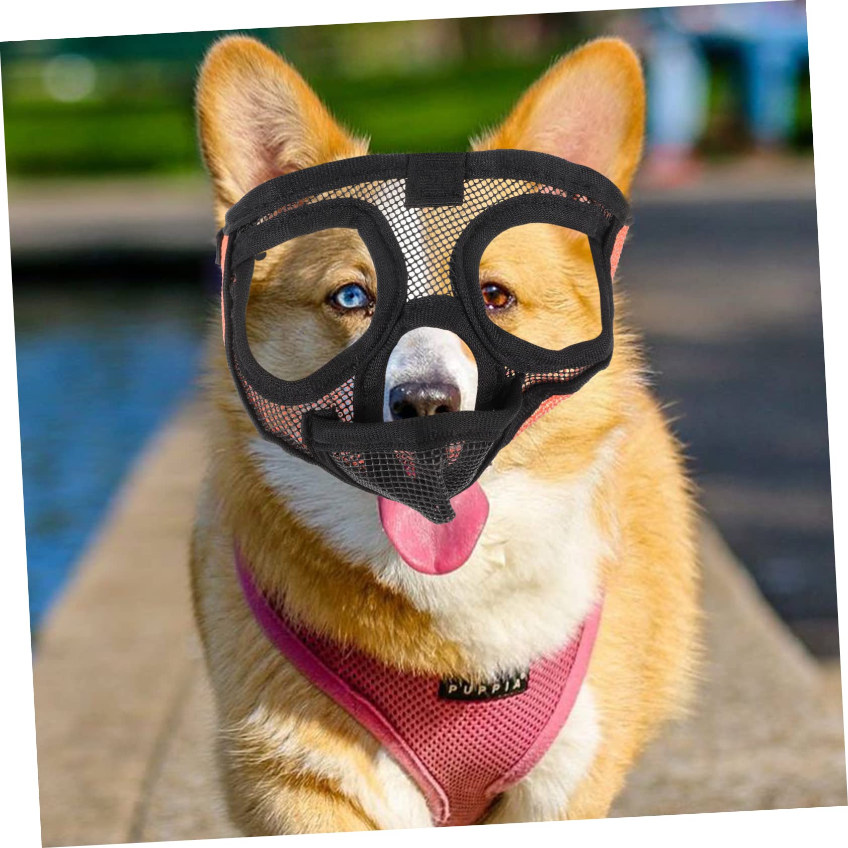 INOOMP 3pièces Muselière pour Chien Respirante Maille Ajustable Anti-aboiement Et Anti-Morsure Confortable Et pour Animaux De Compagnie