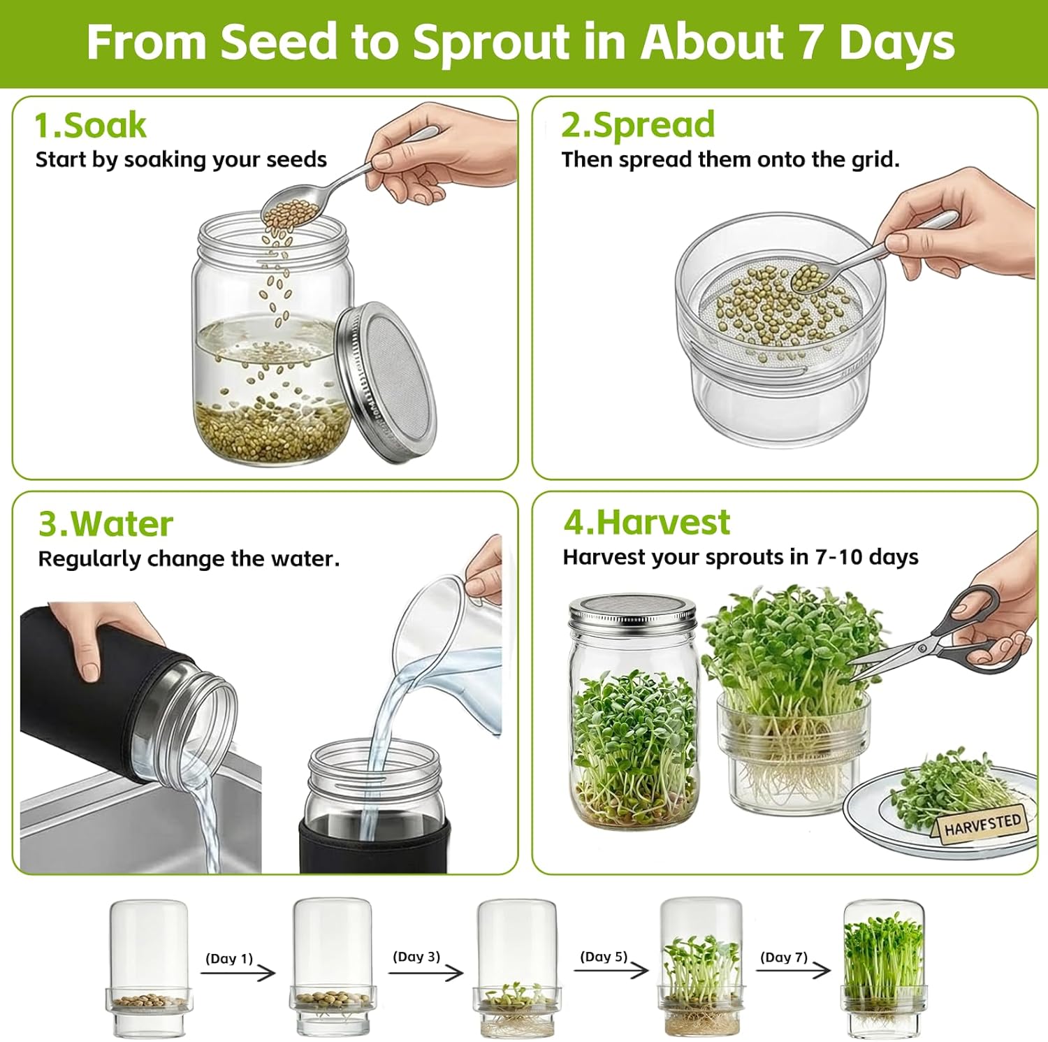 Seed Sprouting Kit 2 Wide Mouth Mason Jars with Stainless Steel Screen Lids & Drip Covers Complete Sprouter Growing Kit for Broccoli, Alfalfa, Mung Beans Home Gardening Gift for Adults & Kids