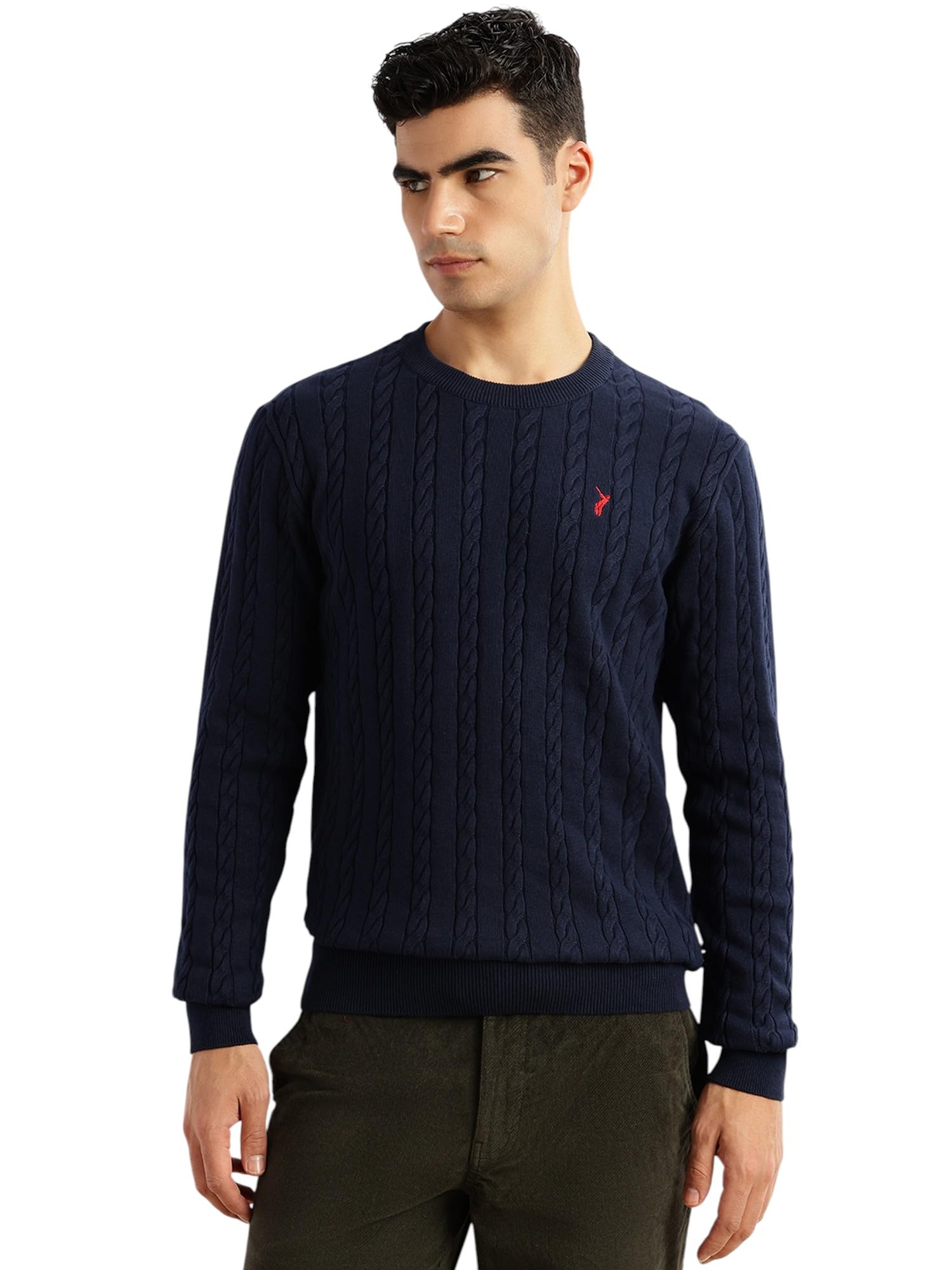 Men's | Regular Fit | Long Sleeves | Round Neck | Self Design | 100% Cotton | Knitted | Pullover | Sweater