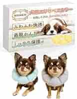 ARCH 05 & 06 犬猫の皮膚まるまる検査・薬剤 2017 獣医　本 Small Animal Dermatology No.49(2018年1月号)ニャ｜EDUONE