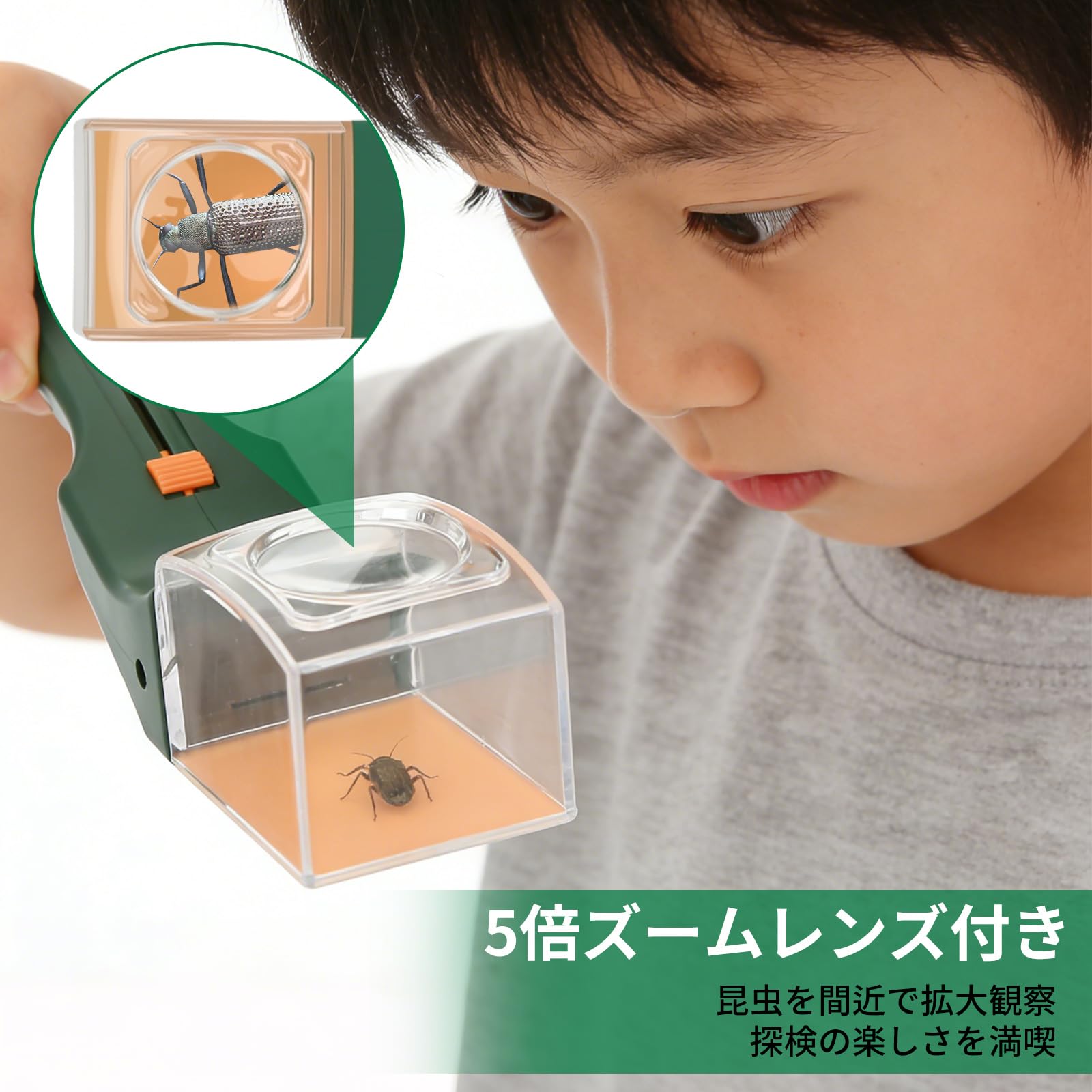 rloao 虫キャッチャー ロング バグキャッチャー 拡大鏡で虫の観察 片手操作 触れない 触らず逃がす 虫取り 捕虫器 害虫 昆虫 退治 部屋 屋内 対策 ベランダの虫 車内の虫 家の虫 昆虫採集