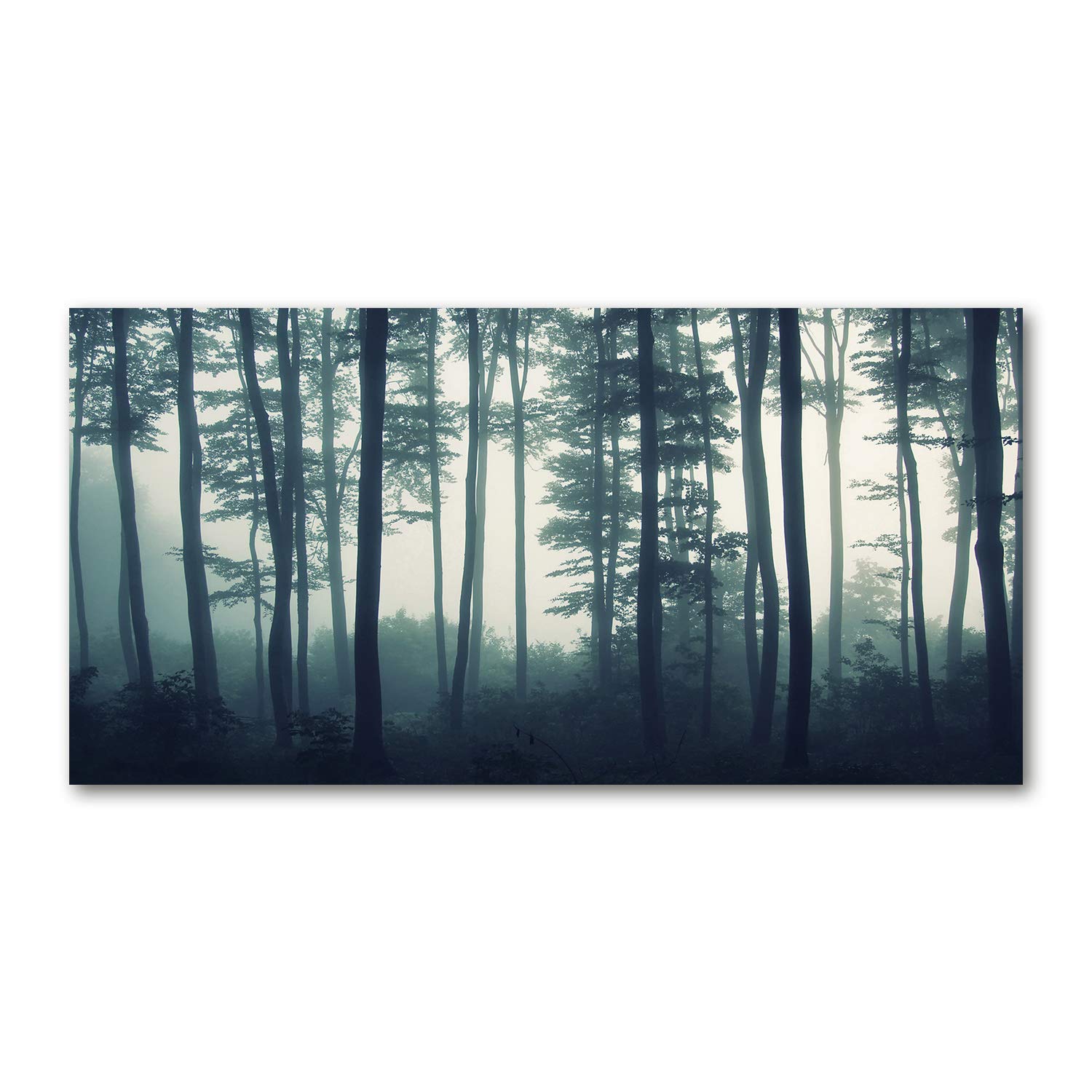Tableau acrylique panoramique de qualité supérieure forêt brumeuse