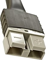 Vista 6 de SCHAUER Cargador de Batería Modelo JAC2024H