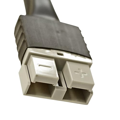 Miniatura 6 de Cargador de Batería Modelo JAC2024H