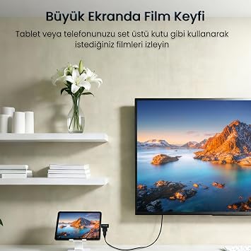 VegGieg Mini HDMI/Micro HDMI Erkek to HDMI Dişi Dönüştürücü Adaptör