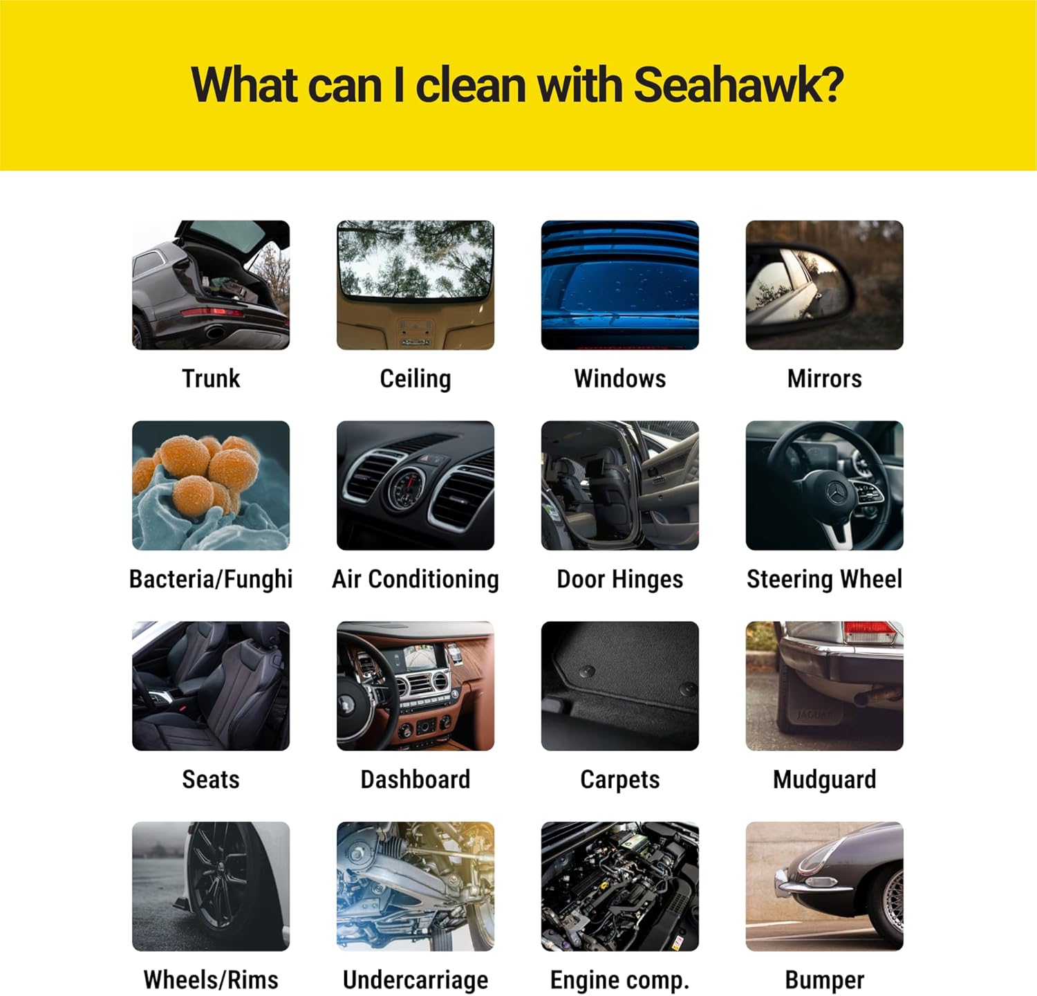 US STEAM® Seahawk Steam Cleaner with Vacuum | Commercial Steam Cleaner | Commercial Steam Vacuum | High Pressure