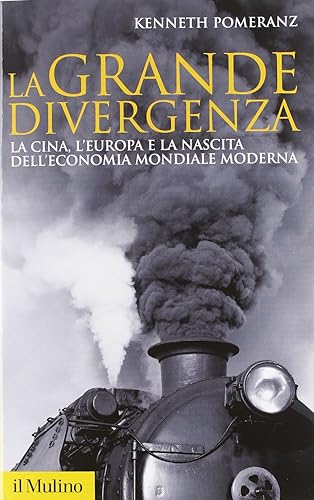 La grande divergenza. La Cina, l'Europa e la nascita dell'economia mondiale moderna