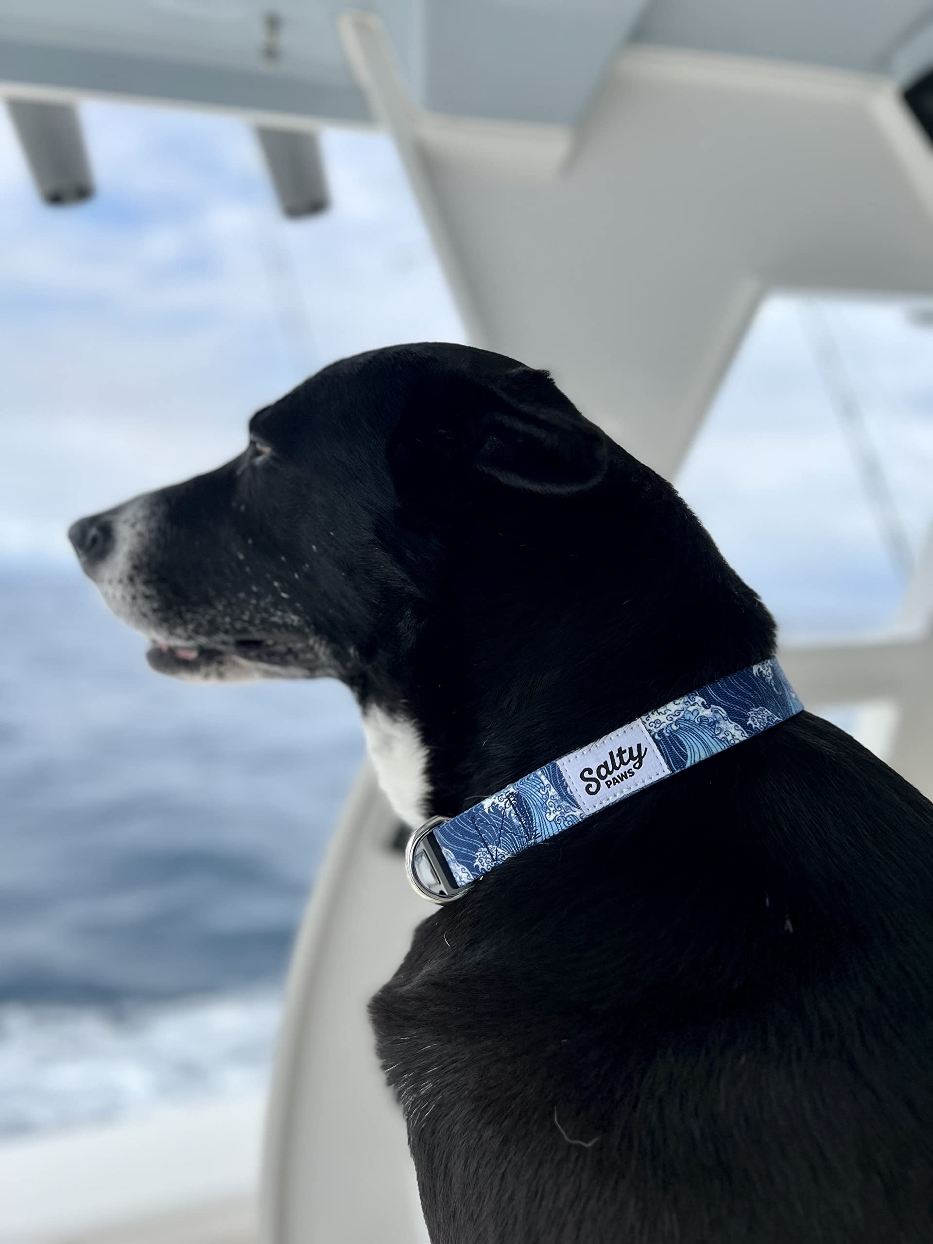 Shaka's Salty Paws Obroża dla chłopców i dziewczynek mała średnia duża (niebieska fala, obroża dla małego psa przym. 25-40 cm dla psów do 11 kg)