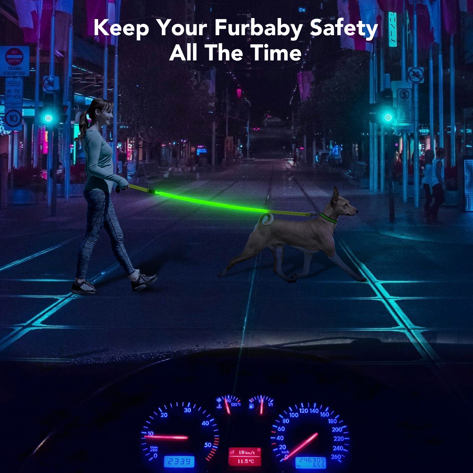Correa LED para perro con luz Micro USB recargable impermeable correas de nailon resplandor de seguridad estándar para perros (verde con 3 cables reflectantes)