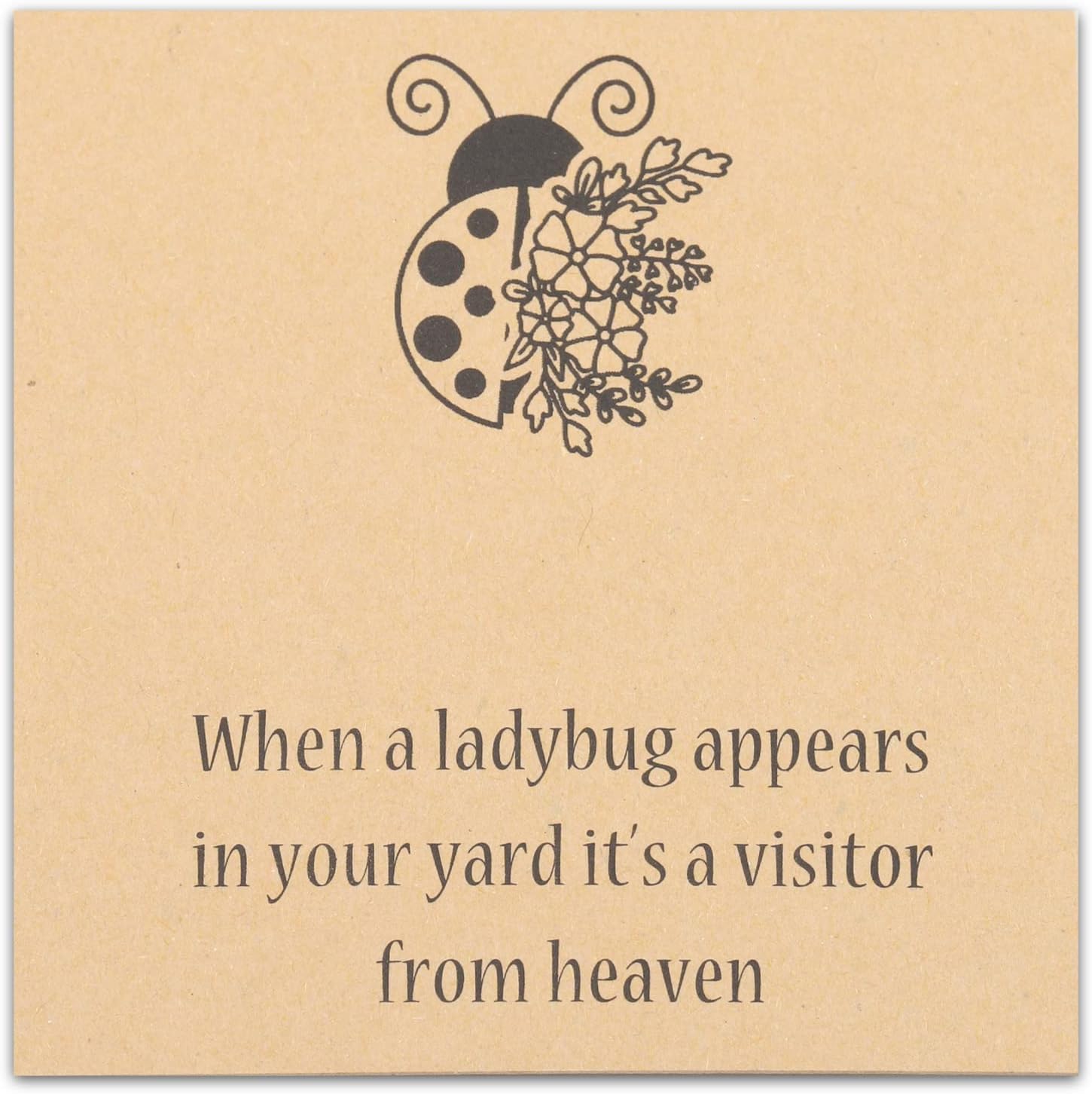 FAADBUK Ladybug Memorial Keychain When a Ladybug Appears In Memory of Love One Sympathy Gift
