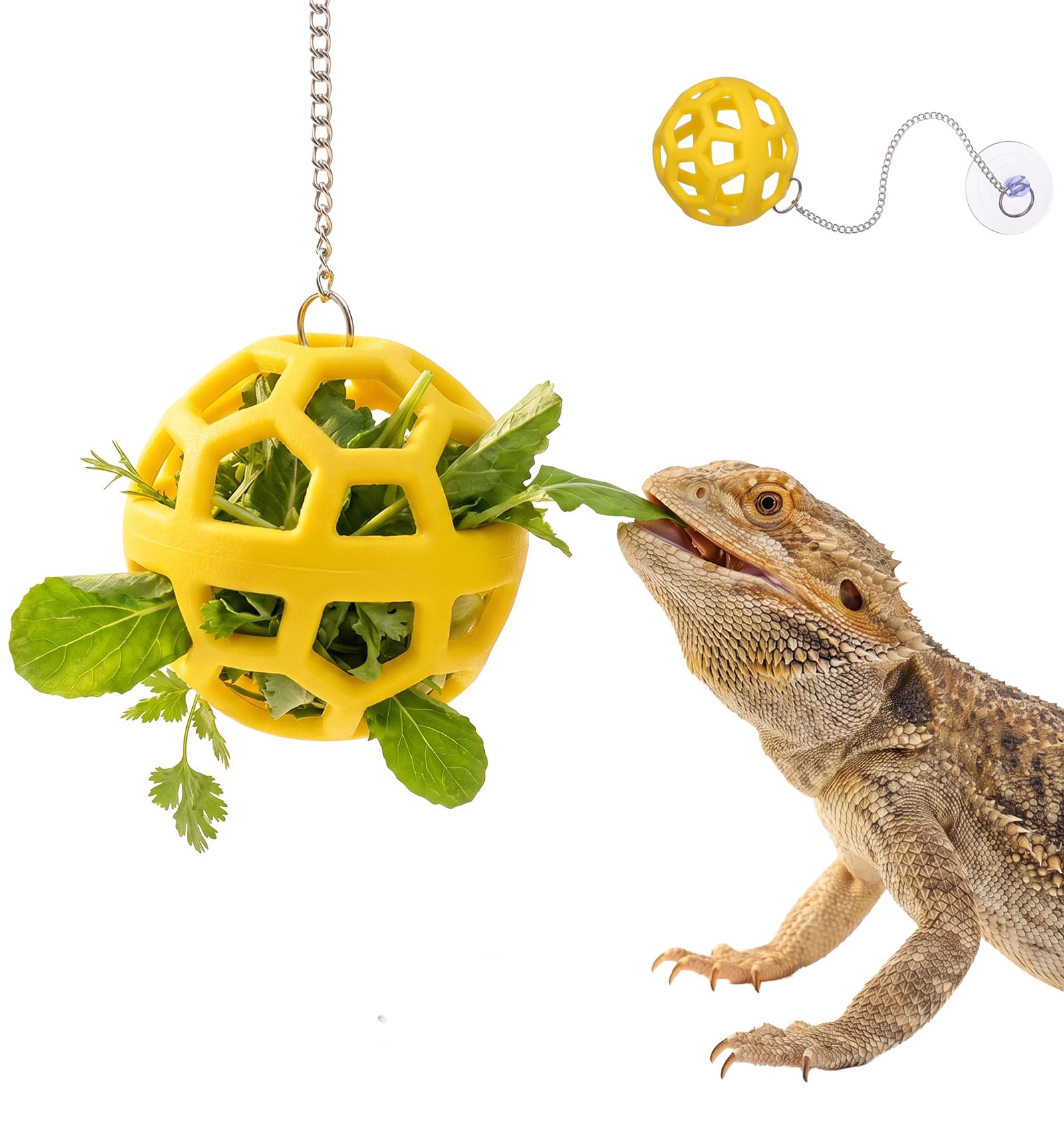 Photo 1 of Acrbeli Bearded Dragon Enrichment Toys (2 Pcs)
