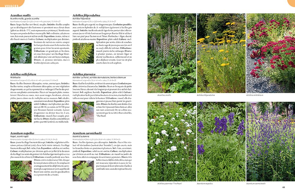 Les 900 plantes de jardin à connaître