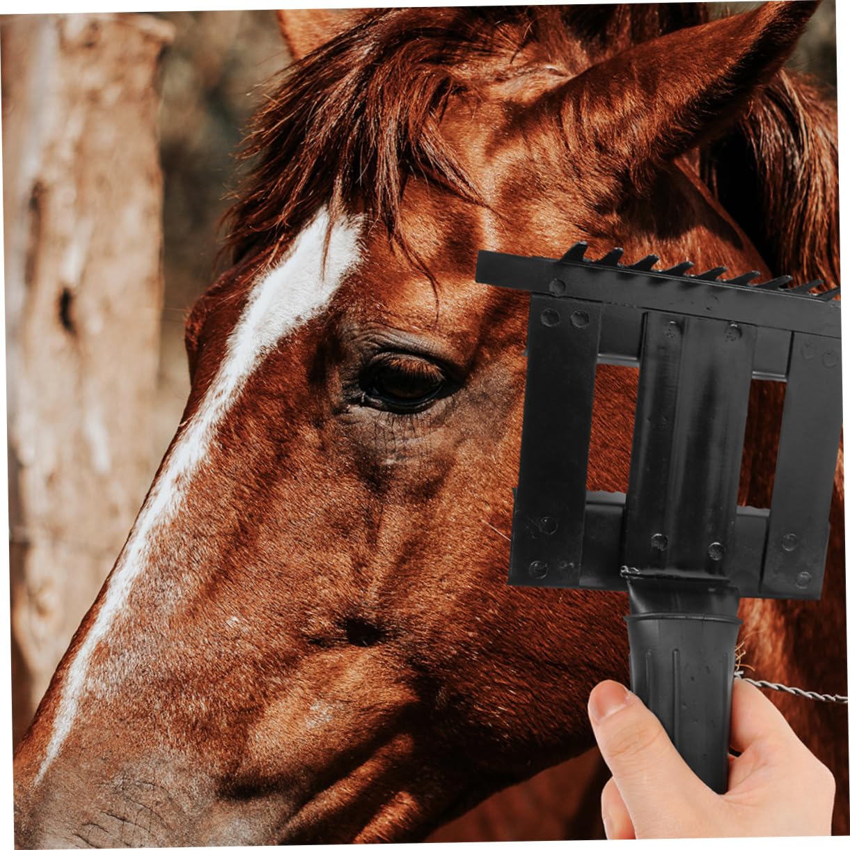 Cepillo para Caballos de Metal para Limpieza y Cuidado, 2 Piezas | Negro, Agarre Ergonómico, para Crin y Rabo, Uso en Caballos y Ganado, Formato Práctico